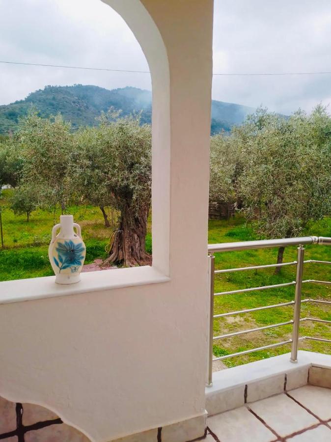 Villa Calypso Skala Rachoni  エクステリア 写真