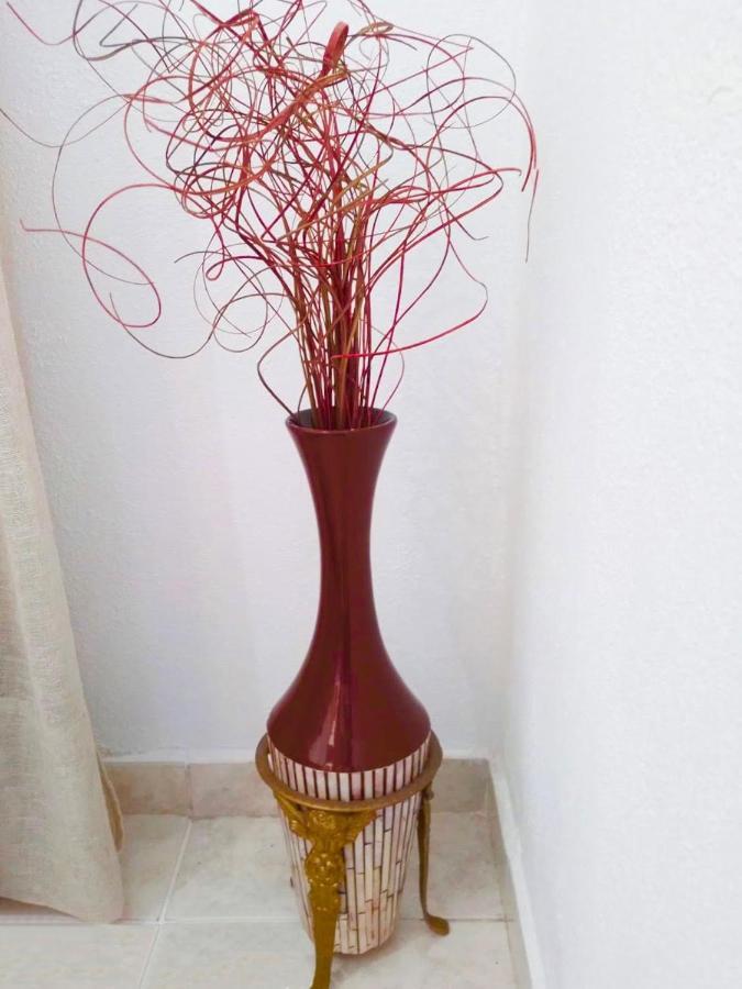 Villa Calypso Skala Rachoni  エクステリア 写真